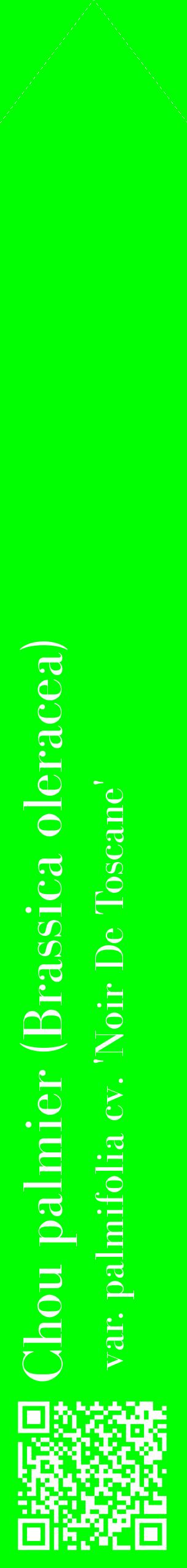 Étiquette de : Brassica oleracea var. palmifolia cv. 'Noir De Toscane' - format c - style blanche16_simplebod avec qrcode et comestibilité