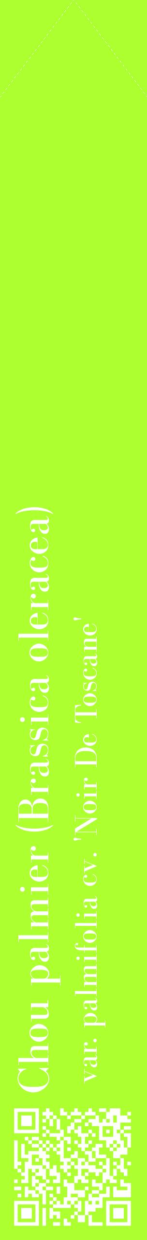Étiquette de : Brassica oleracea var. palmifolia cv. 'Noir De Toscane' - format c - style blanche17_simplebod avec qrcode et comestibilité