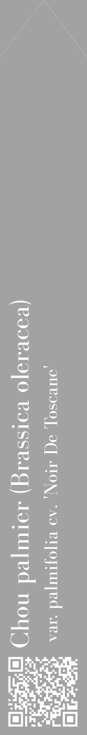 Étiquette de : Brassica oleracea var. palmifolia cv. 'Noir De Toscane' - format c - style blanche38_simple_simplebod avec qrcode et comestibilité - position verticale