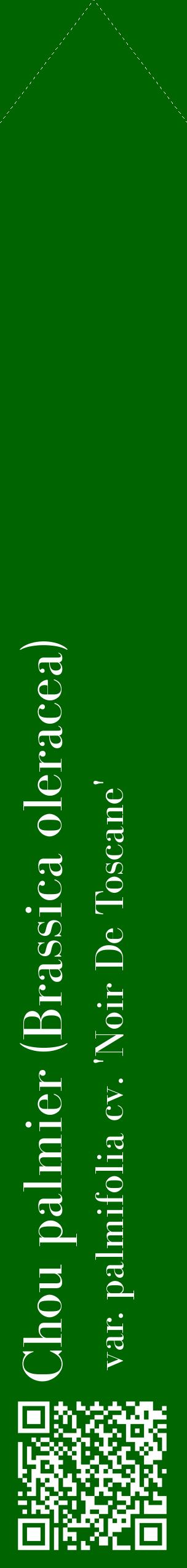 Étiquette de : Brassica oleracea var. palmifolia cv. 'Noir De Toscane' - format c - style blanche8_simplebod avec qrcode et comestibilité