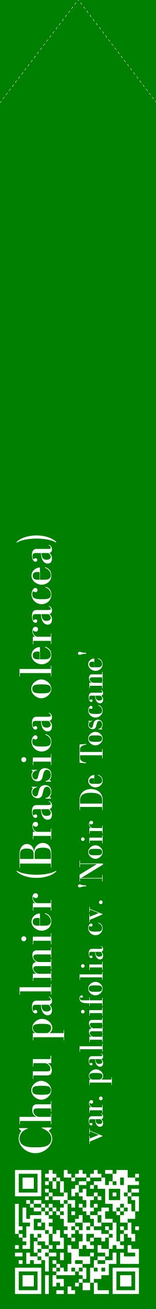 Étiquette de : Brassica oleracea var. palmifolia cv. 'Noir De Toscane' - format c - style blanche9_simplebod avec qrcode et comestibilité
