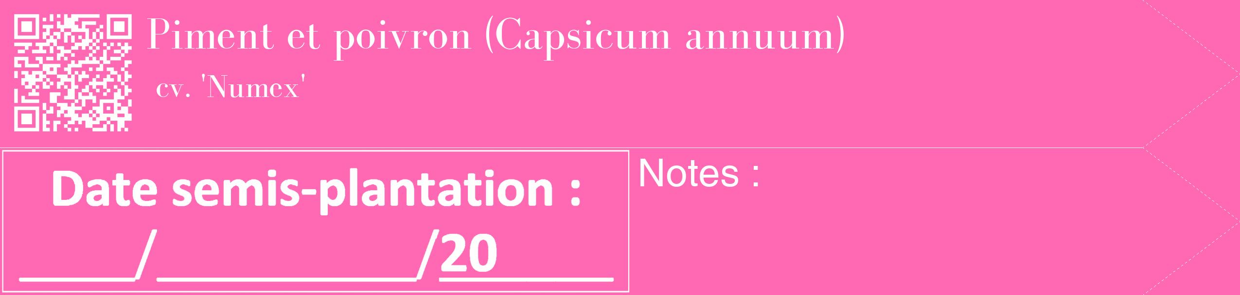 Étiquette de : Capsicum annuum cv. 'Numex' - format c - style blanche42_simple_simplebod avec qrcode et comestibilité