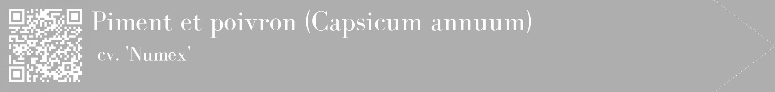 Étiquette de : Capsicum annuum cv. 'Numex' - format c - style blanche53_simple_simplebod avec qrcode et comestibilité