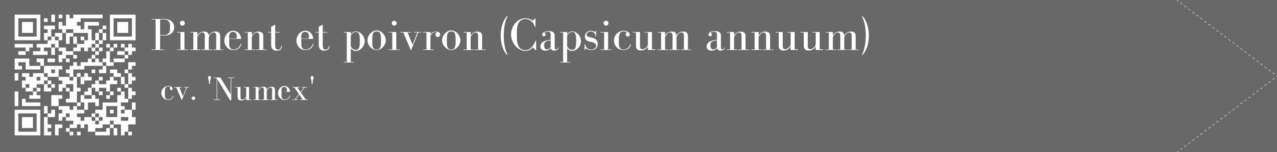 Étiquette de : Capsicum annuum cv. 'Numex' - format c - style blanche6_simple_simplebod avec qrcode et comestibilité