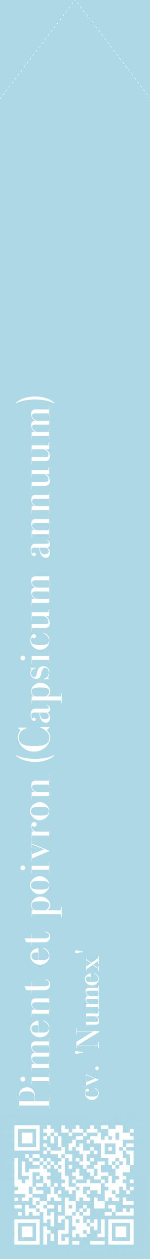 Étiquette de : Capsicum annuum cv. 'Numex' - format c - style blanche0_simplebod avec qrcode et comestibilité