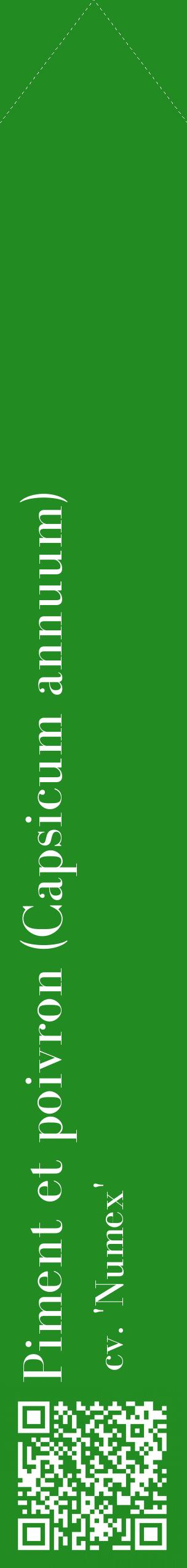 Étiquette de : Capsicum annuum cv. 'Numex' - format c - style blanche10_simplebod avec qrcode et comestibilité