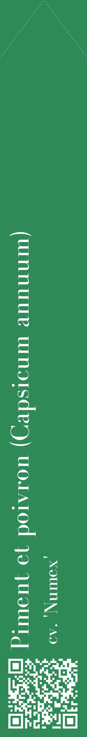 Étiquette de : Capsicum annuum cv. 'Numex' - format c - style blanche11_simplebod avec qrcode et comestibilité