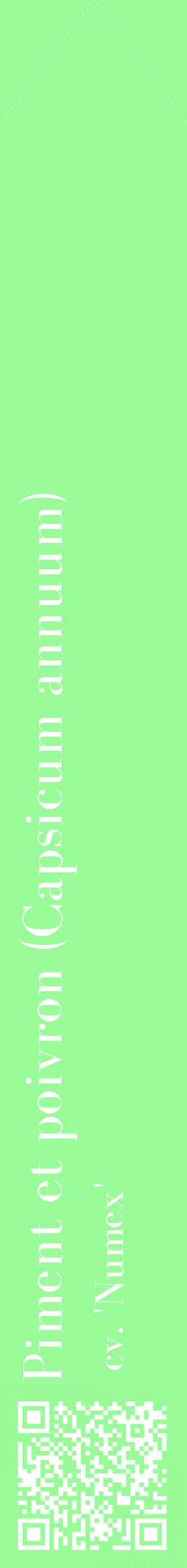 Étiquette de : Capsicum annuum cv. 'Numex' - format c - style blanche14_simplebod avec qrcode et comestibilité