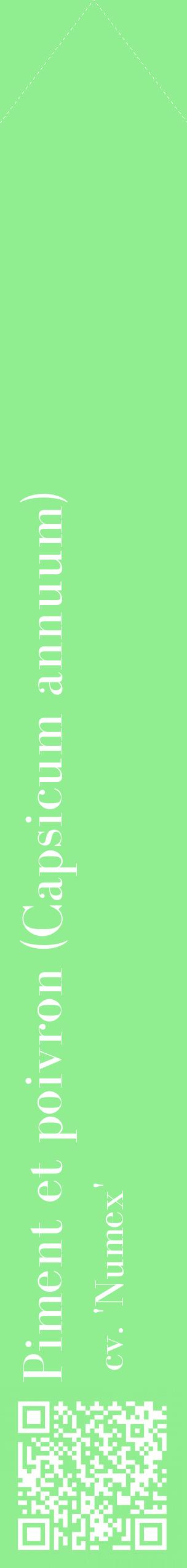 Étiquette de : Capsicum annuum cv. 'Numex' - format c - style blanche15_simplebod avec qrcode et comestibilité