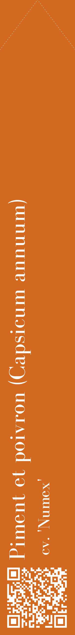 Étiquette de : Capsicum annuum cv. 'Numex' - format c - style blanche31_simplebod avec qrcode et comestibilité