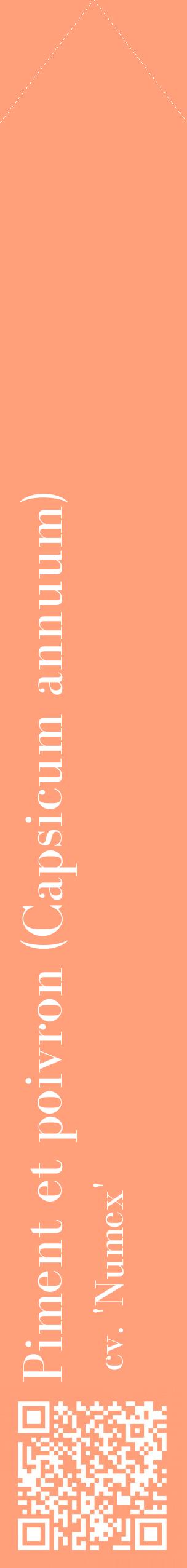 Étiquette de : Capsicum annuum cv. 'Numex' - format c - style blanche39_simplebod avec qrcode et comestibilité