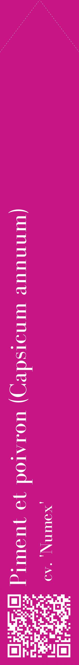 Étiquette de : Capsicum annuum cv. 'Numex' - format c - style blanche45_simplebod avec qrcode et comestibilité