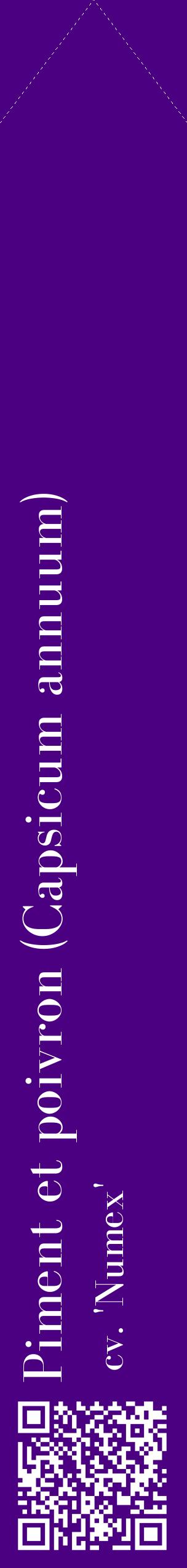 Étiquette de : Capsicum annuum cv. 'Numex' - format c - style blanche47_simplebod avec qrcode et comestibilité