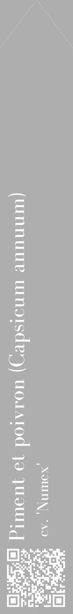 Étiquette de : Capsicum annuum cv. 'Numex' - format c - style blanche53_simple_simplebod avec qrcode et comestibilité - position verticale