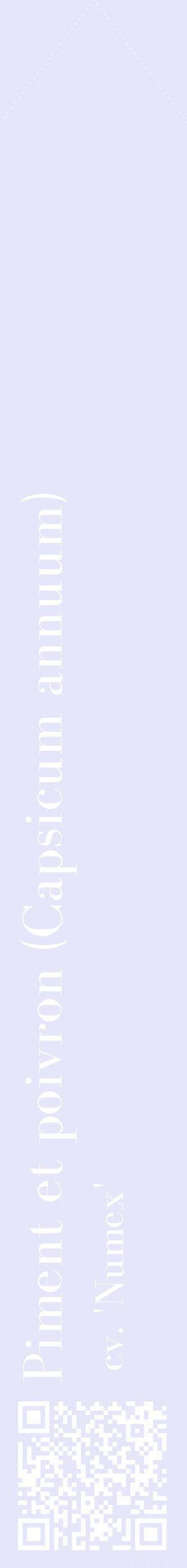 Étiquette de : Capsicum annuum cv. 'Numex' - format c - style blanche55_simplebod avec qrcode et comestibilité
