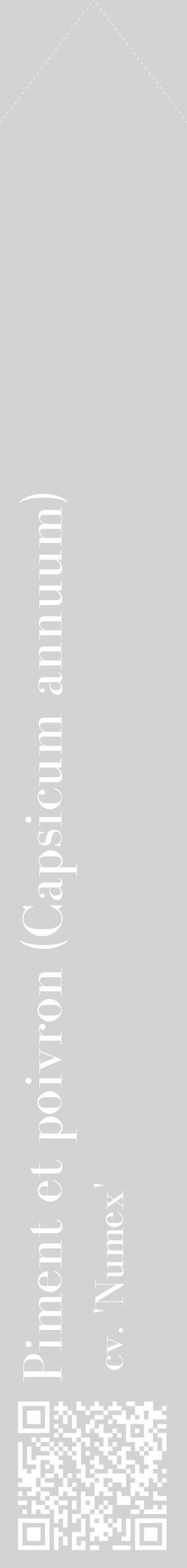 Étiquette de : Capsicum annuum cv. 'Numex' - format c - style blanche56_simplebod avec qrcode et comestibilité