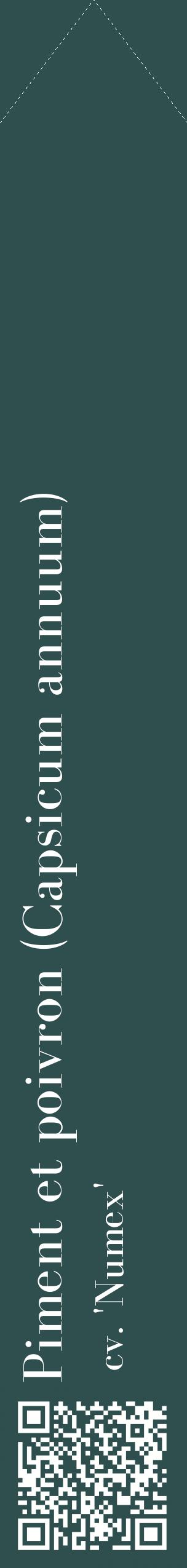 Étiquette de : Capsicum annuum cv. 'Numex' - format c - style blanche58_simplebod avec qrcode et comestibilité