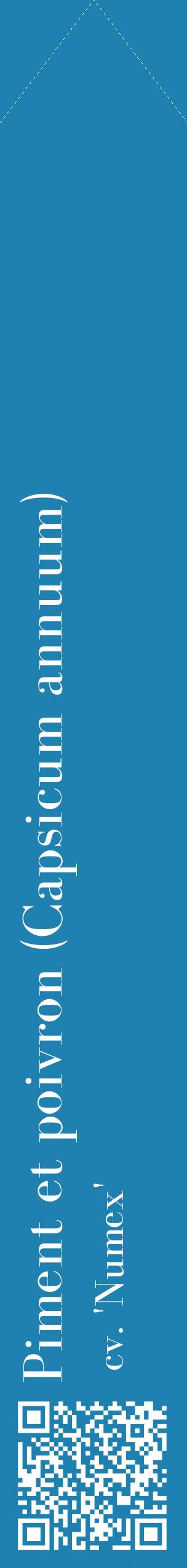 Étiquette de : Capsicum annuum cv. 'Numex' - format c - style blanche6_simplebod avec qrcode et comestibilité