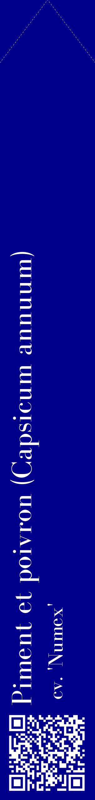 Étiquette de : Capsicum annuum cv. 'Numex' - format c - style blanche7_simplebod avec qrcode et comestibilité