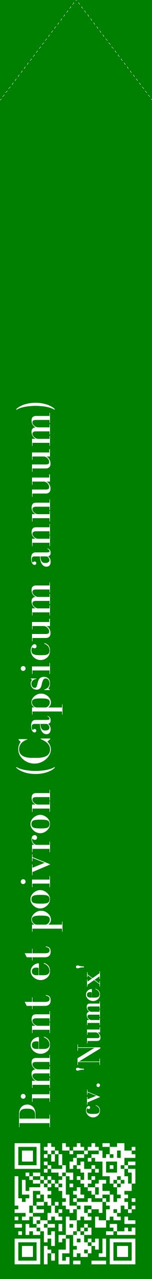 Étiquette de : Capsicum annuum cv. 'Numex' - format c - style blanche9_simplebod avec qrcode et comestibilité