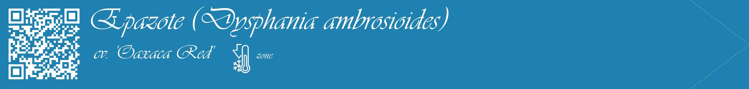 Étiquette de : Dysphania ambrosioides cv. 'Oaxaca Red' - format c - style blanche6_simple_simpleviv avec qrcode et comestibilité