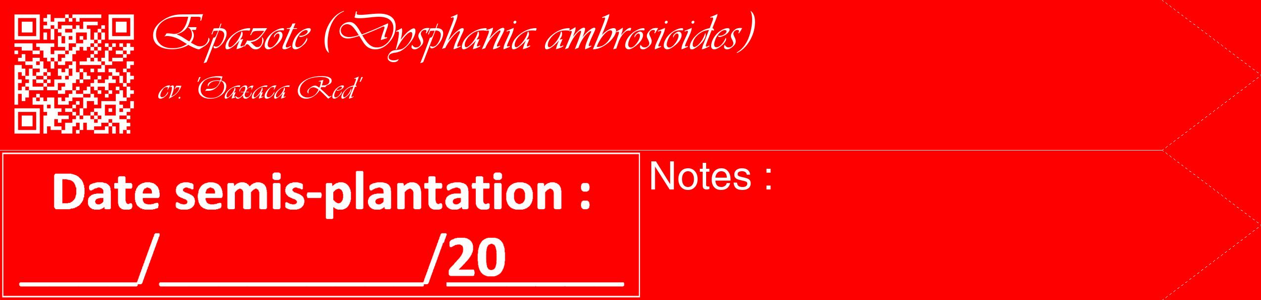 Étiquette de : Dysphania ambrosioides cv. 'Oaxaca Red' - format c - style blanche27_simple_simpleviv avec qrcode et comestibilité