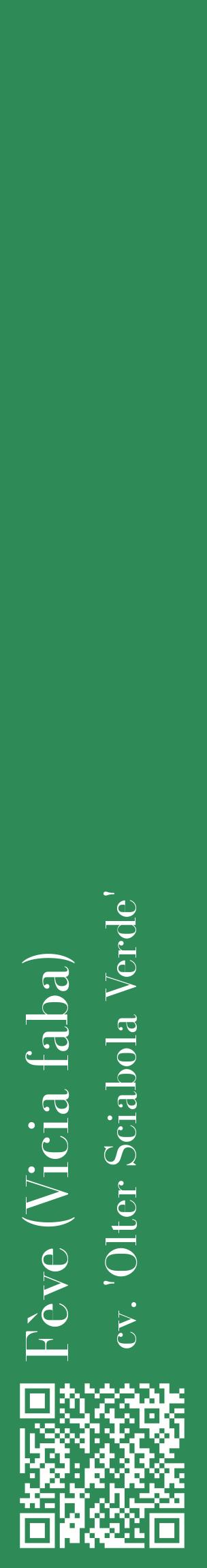 Étiquette de : Vicia faba cv. 'Olter Sciabola Verde' - format c - style blanche11_basiquebod avec qrcode et comestibilité