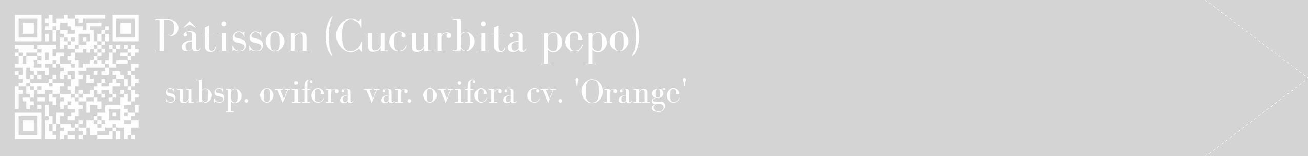 Étiquette de : Cucurbita pepo subsp. ovifera var. ovifera cv. 'Orange' - format c - style blanche40_simple_simplebod avec qrcode et comestibilité