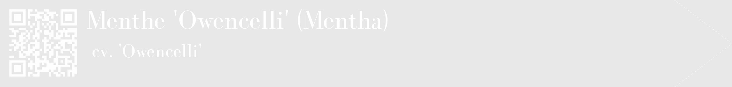 Étiquette de : Mentha cv. 'Owencelli' - format c - style blanche55_simple_simplebod avec qrcode et comestibilité