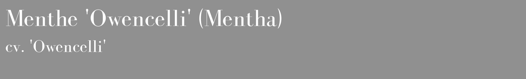 Étiquette de : Mentha cv. 'Owencelli' - format c - style blanche4_basique_basiquebod avec comestibilité