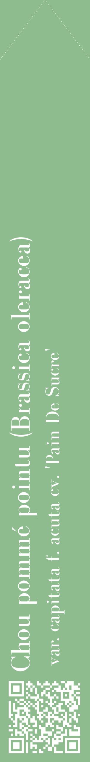 Étiquette de : Brassica oleracea var. capitata f. acuta cv. 'Pain De Sucre' - format c - style blanche13_simplebod avec qrcode et comestibilité