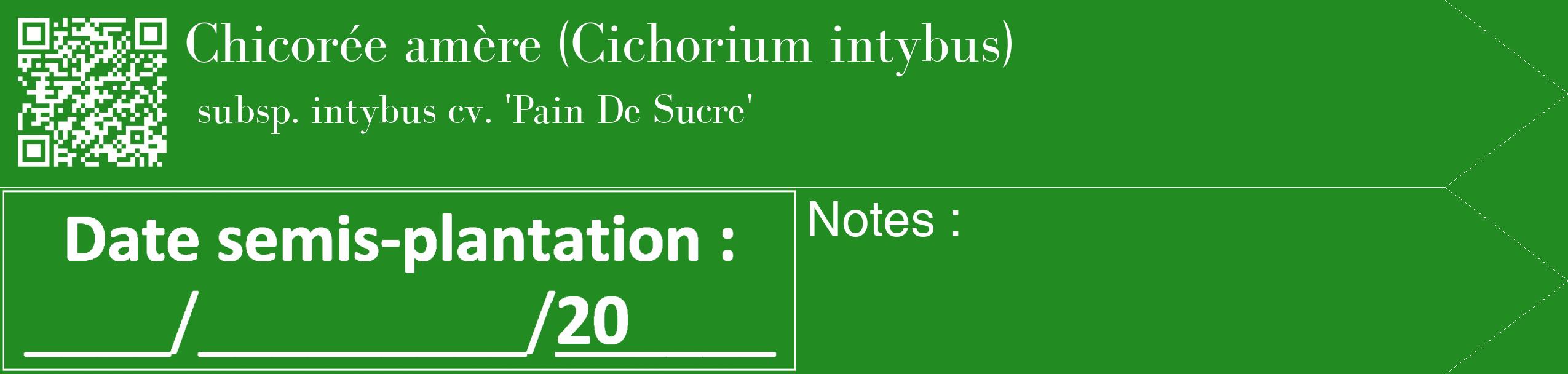 Étiquette de : Cichorium intybus subsp. intybus cv. 'Pain De Sucre' - format c - style blanche10_simple_simplebod avec qrcode et comestibilité