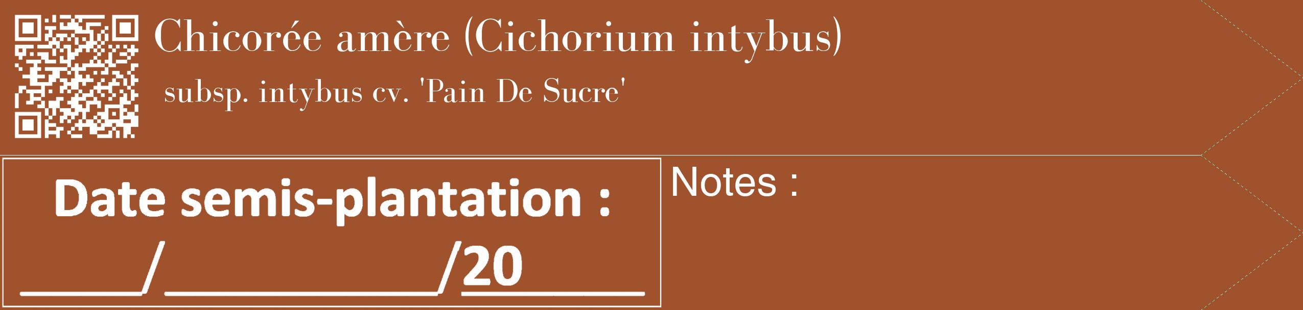 Étiquette de : Cichorium intybus subsp. intybus cv. 'Pain De Sucre' - format c - style blanche32_simple_simplebod avec qrcode et comestibilité