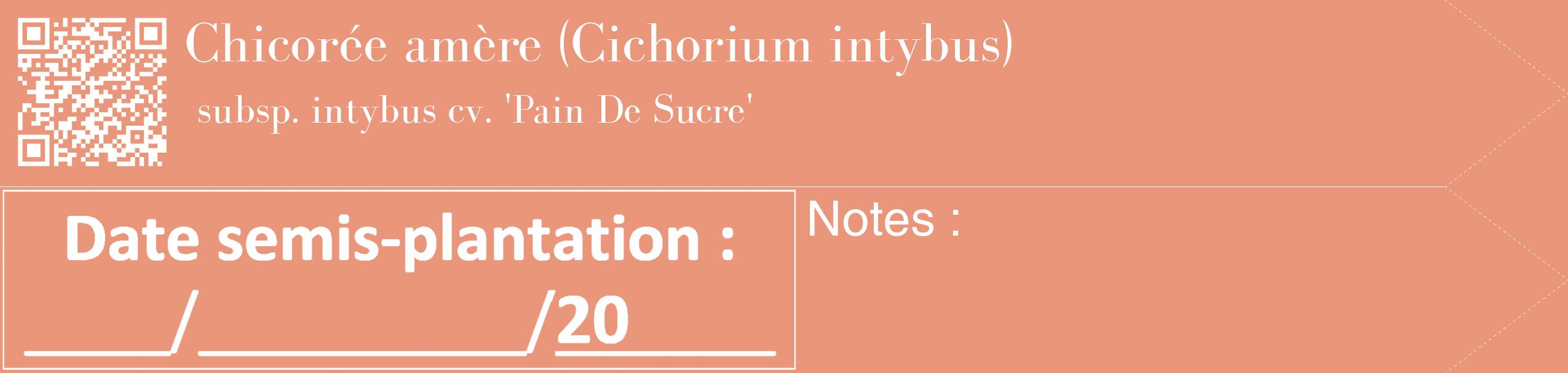 Étiquette de : Cichorium intybus subsp. intybus cv. 'Pain De Sucre' - format c - style blanche37_simple_simplebod avec qrcode et comestibilité