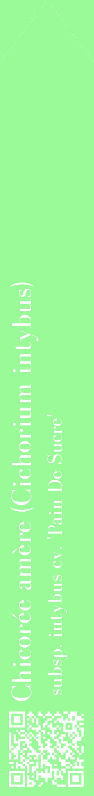 Étiquette de : Cichorium intybus subsp. intybus cv. 'Pain De Sucre' - format c - style blanche14_simplebod avec qrcode et comestibilité