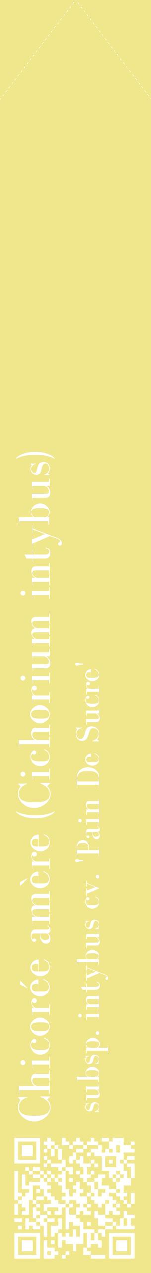 Étiquette de : Cichorium intybus subsp. intybus cv. 'Pain De Sucre' - format c - style blanche20_simplebod avec qrcode et comestibilité