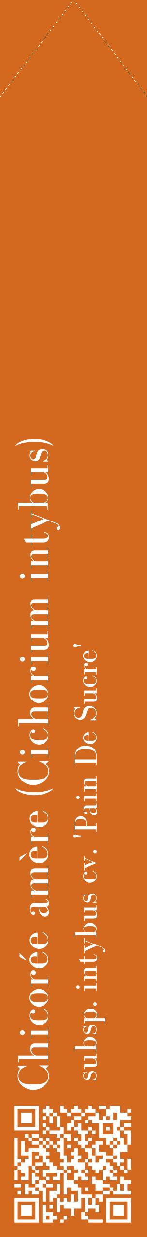 Étiquette de : Cichorium intybus subsp. intybus cv. 'Pain De Sucre' - format c - style blanche31_simplebod avec qrcode et comestibilité