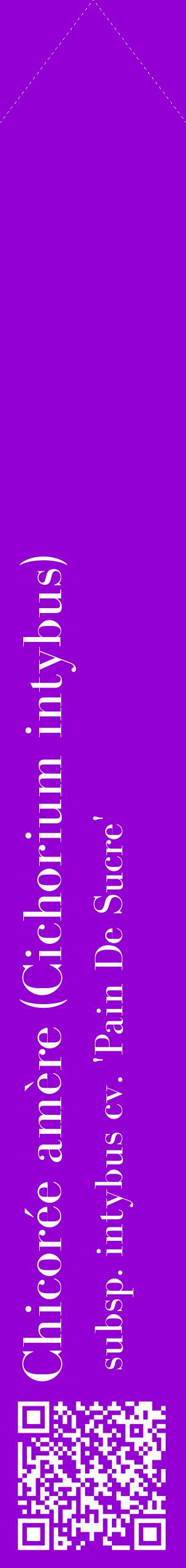Étiquette de : Cichorium intybus subsp. intybus cv. 'Pain De Sucre' - format c - style blanche48_simplebod avec qrcode et comestibilité