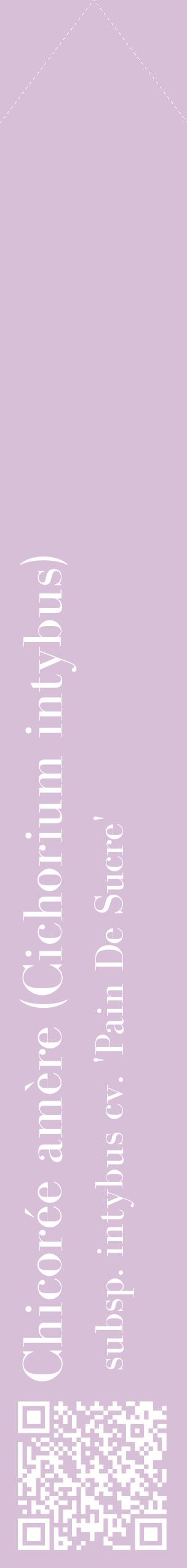 Étiquette de : Cichorium intybus subsp. intybus cv. 'Pain De Sucre' - format c - style blanche54_simplebod avec qrcode et comestibilité
