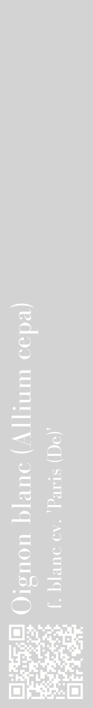 Étiquette de : Allium cepa f. blanc cv. 'Paris (De)' - format c - style blanche56_basiquebod avec qrcode et comestibilité