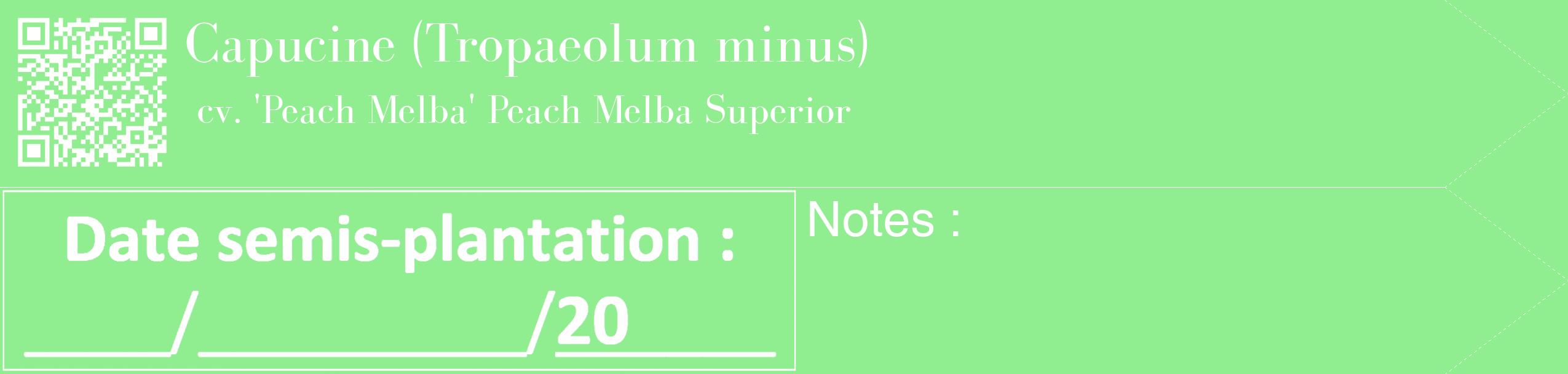 Étiquette de : Tropaeolum minus cv. 'Peach Melba' - format c - style blanche15_simple_simplebod avec qrcode et comestibilité
