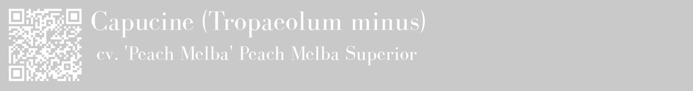 Étiquette de : Tropaeolum minus cv. 'Peach Melba' - format c - style blanche54_basique_basiquebod avec qrcode et comestibilité