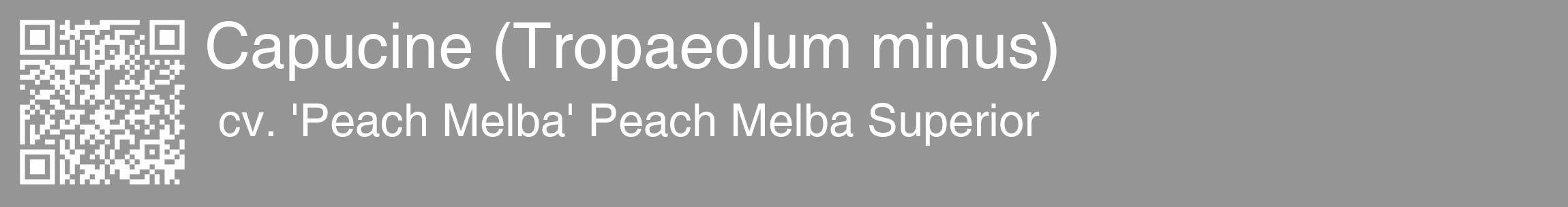 Étiquette de : Tropaeolum minus cv. 'Peach Melba' - format c - style blanche16_basique_basiquehel avec qrcode et comestibilité