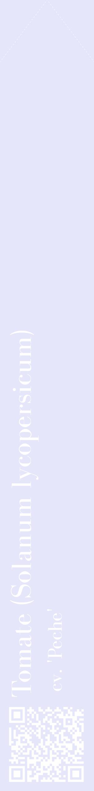 Étiquette de : Solanum lycopersicum cv. 'Peche' - format c - style blanche55_simplebod avec qrcode et comestibilité