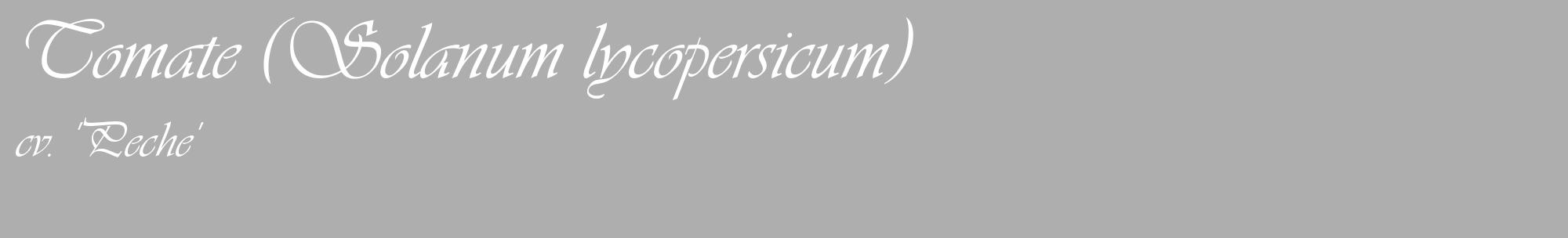 Étiquette de : Solanum lycopersicum cv. 'Peche' - format c - style blanche53_basique_basiqueviv avec comestibilité