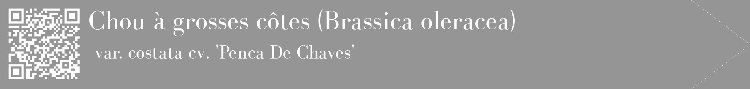 Étiquette de : Brassica oleracea var. costata cv. 'Penca De Chaves' - format c - style blanche16_simple_simplebod avec qrcode et comestibilité