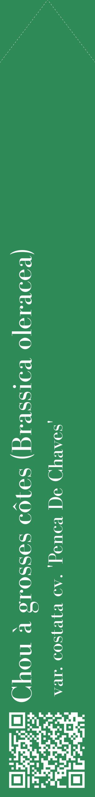 Étiquette de : Brassica oleracea var. costata cv. 'Penca De Chaves' - format c - style blanche11_simplebod avec qrcode et comestibilité