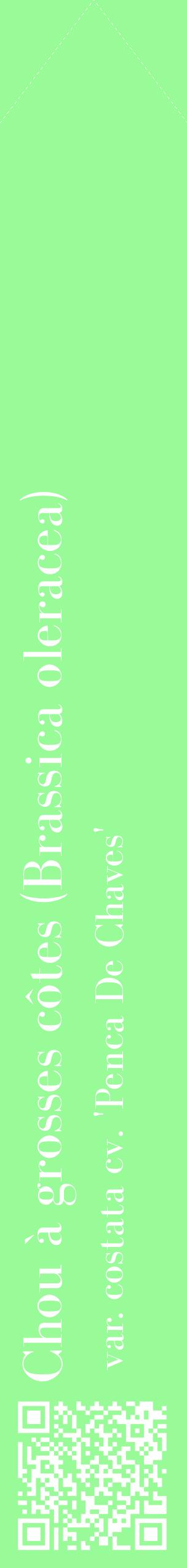 Étiquette de : Brassica oleracea var. costata cv. 'Penca De Chaves' - format c - style blanche14_simplebod avec qrcode et comestibilité
