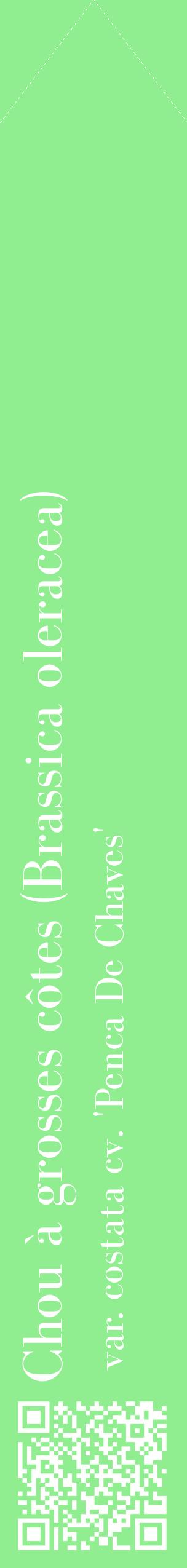 Étiquette de : Brassica oleracea var. costata cv. 'Penca De Chaves' - format c - style blanche15_simplebod avec qrcode et comestibilité