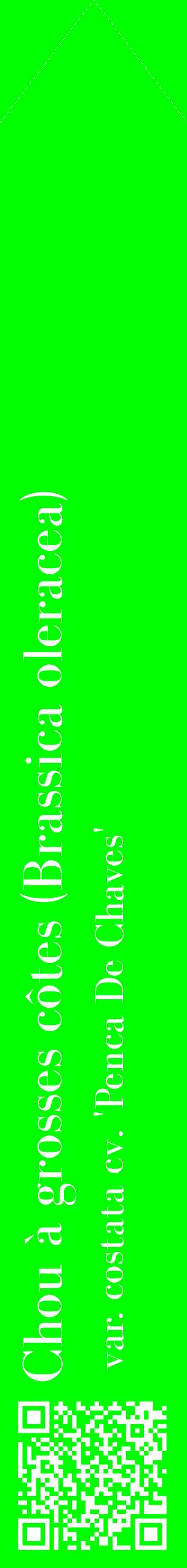 Étiquette de : Brassica oleracea var. costata cv. 'Penca De Chaves' - format c - style blanche16_simplebod avec qrcode et comestibilité